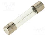 Fuse: fuse; time-lag; 200mA; 250VAC; glass; 6.3x32mm; brass; TSA 