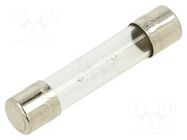 Fuse: fuse; 2A; 250VAC; time-lag; glass; 6.3x32mm; TSA; brass OPTIFUSE