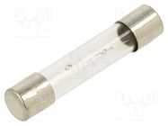 Fuse: fuse; time-lag; 3.5A; 250VAC; glass; 6.3x32mm; brass; TSA 