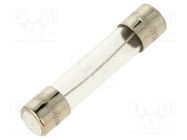 Fuse: fuse; time-lag; 300mA; 250VAC; glass; 6.3x32mm; brass; TSA OPTIFUSE