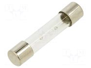 Fuse: fuse; 4A; 250VAC; time-lag; glass; 6.3x32mm; TSA; brass OPTIFUSE