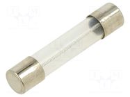 Fuse: fuse; 600mA; 250VAC; time-lag; glass; 6.3x32mm; TSA; brass OPTIFUSE