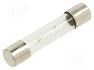 Fuse: fuse; 6A; 250VAC; time-lag; glass; 6.3x32mm; TSA; brass OPTIFUSE