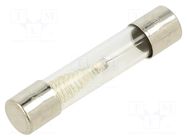 Fuse: fuse; 750mA; 250VAC; time-lag; glass; 6.3x32mm; TSA; brass OPTIFUSE