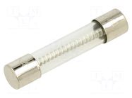 Fuse: fuse; 7A; 250VAC; time-lag; glass; 6.3x32mm; TSA; brass OPTIFUSE