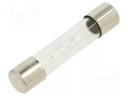 Fuse: fuse; 800mA; 250VAC; time-lag; glass; 6.3x32mm; TSA; brass OPTIFUSE