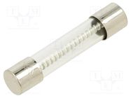 Fuse: fuse; time-lag; 8A; 250VAC; glass; 6.3x32mm; brass; TSA OPTIFUSE