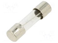 Fuse: fuse; 250mA; 250VAC; time-lag; glass; 5x20mm; TSC; brass; bulk OPTIFUSE