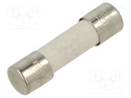 Fuse: fuse; medium time-lag; 5A; 250VAC; ceramic,cylindrical; FSM SCHURTER