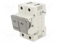 Fuse acces: fuse disconnector; 63A; fuse: D02; -20÷60°C; 400V; IP20 MERSEN