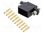 Connector: wire-wire/PCB; plug; female; PIN: 10; Datamate J-Tek HARWIN