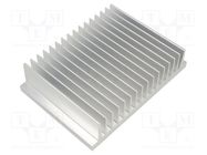 Heatsink: extruded; L: 100mm; W: 141.05mm; H: 33.3mm; 1.25K/W FISCHER ELEKTRONIK