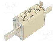 Fuse: fuse; gG; 16A; 500VAC; 250VDC; ceramic; NH0 DF ELECTRIC