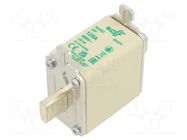 Fuse: fuse; 125A; 500VAC; aM; ceramic; NH00 DF ELECTRIC