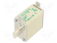 Fuse: fuse; aM; 160A; 500VAC; NH00 DF ELECTRIC