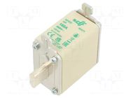 Fuse: fuse; 160A; 500VAC; aM; ceramic; NH00 DF ELECTRIC