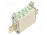 Fuse: fuse; 20A; 690VAC; aM; ceramic; NH000 DF ELECTRIC