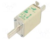 Fuse: fuse; 6A; 690VAC; aM; ceramic; NH0 DF ELECTRIC