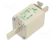 Fuse: fuse; 200A; 500VAC; aM; ceramic; NH0S DF ELECTRIC