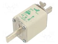 Fuse: fuse; 35A; 690VAC; aM; ceramic; NH0S DF ELECTRIC