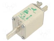 Fuse: fuse; 40A; 690VAC; aM; ceramic; NH0S DF ELECTRIC
