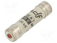 Fuse: fuse; gG; 10A; 400VAC; ceramic,cylindrical,industrial DF ELECTRIC