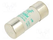 Fuse: fuse; aM; 2A; 690VAC; ceramic,cylindrical,industrial DF ELECTRIC