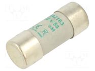 Fuse: fuse; 63A; 690VAC; aM; ceramic,cylindrical,industrial DF ELECTRIC