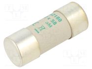 Fuse: fuse; aM; 80A; 500VAC; ceramic,cylindrical,industrial DF ELECTRIC