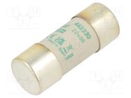 Fuse: fuse; aM; 20A; 690VAC; ceramic,cylindrical,industrial DF ELECTRIC