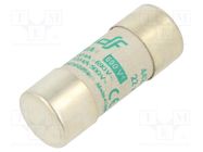 Fuse: fuse; aM; 50A; 690VAC; ceramic,cylindrical,industrial DF ELECTRIC