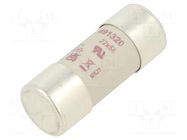 Fuse: fuse; 50A; 690VAC; 700VDC; aR; 22x58mm DF ELECTRIC