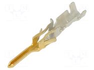 Contact; male; Micro-Fit 3.0; 3mm MOLEX