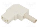 Connector: AC supply; plug; female; 10A; 250VAC; IEC 60320; C13 (F) BULGIN