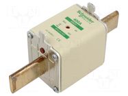 Fuse: fuse; aM; 400A; 690VAC; ceramic; NH2 SCHNEIDER ELECTRIC