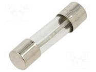 Fuse: fuse; 250mA; 250VAC; time-lag; cylindrical,glass; 5x20mm; FTT SCHURTER