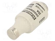 Fuse: fuse; gG; 20A; 500VAC; 500VDC; industrial; DII 