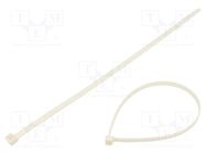 Cable tie; L: 380mm; W: 7.6mm; polyamide; 540N; white; Ømax: 106.7mm BM GROUP