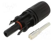 Connector: solar; plug; male + female; 30A; 1.5kV; IP67; straight NINIGI
