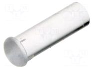 Fiber for LED; Ø3mm; L: 8.9mm; round; Front: convex; straight; PLP2 BIVAR