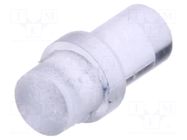 Fiber for LED; Ø3mm; L: 5mm; round; Front: flat; straight; PLP1 BIVAR