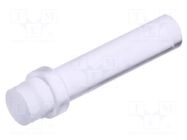 Fiber for LED; Ø3mm; L: 12.7mm; round; Front: flat; straight; PLP1 BIVAR