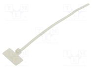 Cable tie; with label; L: 109mm; W: 2.5mm; polyamide; 80N; natural PANDUIT