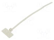 Cable tie; with label; L: 109mm; W: 2.5mm; natural; polyamide; 80N PANDUIT