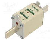 Fuse: fuse; aM; 160A; 690VAC; ceramic; NH1 SCHNEIDER ELECTRIC