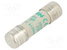 Fuse: fuse; aM,time-lag; 20A; 500VAC; 10x38mm MERSEN