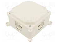 Enclosure: junction box; X: 103mm; Y: 103mm; Z: 60mm; wall mount JONEX