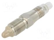 Sensor: liquid level; -40÷85°C; OUT: PNP; M12 male; 12÷30VDC; G1/2" BAUMER