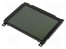 Display: LCD; graphical; 320x240; COG,FSTN Positive; LED; PIN: 20 RAYSTAR OPTRONICS