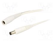 Cable; 2x0.5mm2; DC 5,5/2,1 socket,DC 5,5/1,7 plug; straight WEST POL